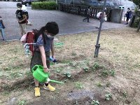 水やり　はたのせな (5).jpg