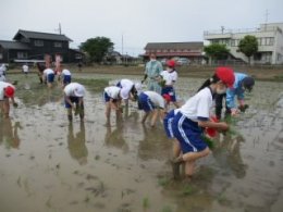 田植え１.jpg