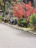 20201106_110536.jpg