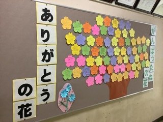 11D0DFCE-953D-49C1-811A-8DB3B93E0A1C.jpeg
