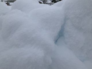 8157829A-8B2D-4842-9F46-795333E233F9.jpeg