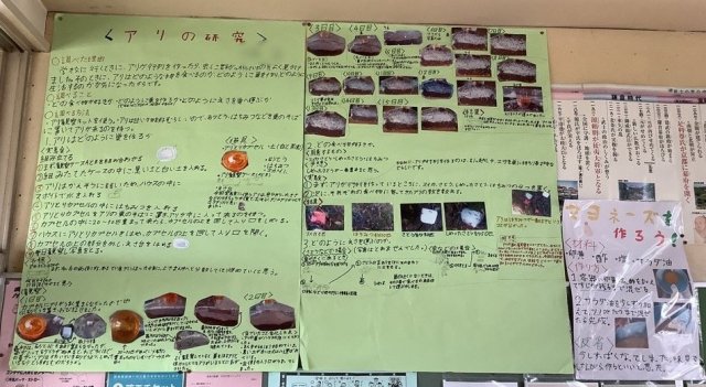 EF5D3E28-73CC-4C18-8C40-063CE4361DD5.jpeg