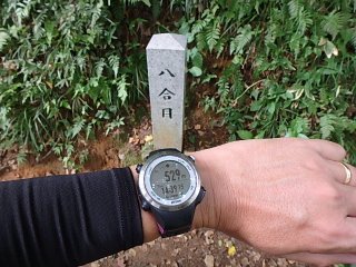 P8306047.JPG