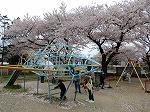 DSCN3988.jpg
