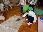 DSCN4133.jpg