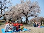DSCN4198.jpg