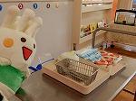 DSCN4340.jpg