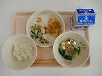 DSCN4441.jpg