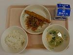 DSCN4669.jpg