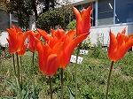 DSCN4674.jpg