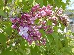 DSCN4688.jpg