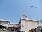 DSCN4711.jpg