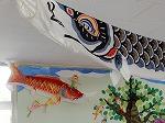 DSCN4715.jpg