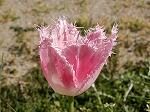 DSCN4716.jpg