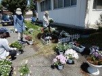 DSCN4719.jpg