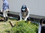 DSCN4747.jpg