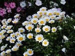 DSCN4829.jpg