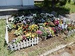 DSCN4866.jpg