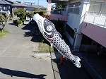 DSCN4952.jpg