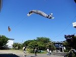 DSCN4980.jpg