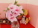 DSCN5027.jpg