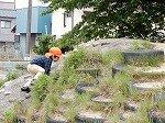 DSCN5266.jpg