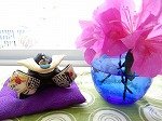 DSCN5502.jpg