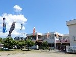 DSCN5659.jpg