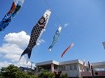 DSCN5680.jpg