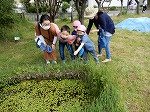 DSCN5743.jpg