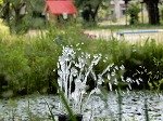 DSCN5781.jpg