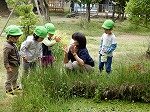 DSCN5934.jpg