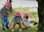 DSCN5941.jpg