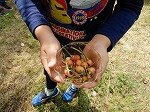 DSCN5956.jpg