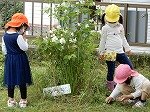 DSCN5970.jpg