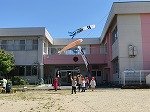 IMG_5689.jpg