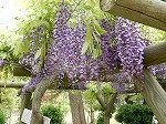 DSCN4925.jpg
