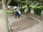 DSCN0451.jpg