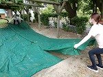 DSCN0468.jpg