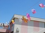 DSCN6519.jpg