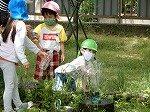 DSCN6741.jpg