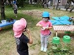DSCN6748.jpg