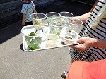 DSCN7231.jpg