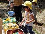 DSCN7250.jpg