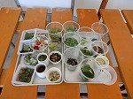 DSCN7256.jpg