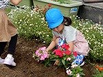 DSCN8321.jpg