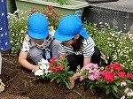 DSCN8326.jpg