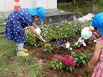 DSCN8356.jpg