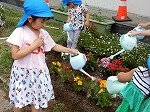 DSCN8362.jpg