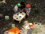 DSCN8494.jpg